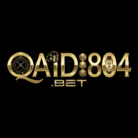 QAIDI804 GAME